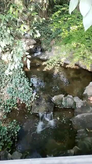 小初音大冒险2