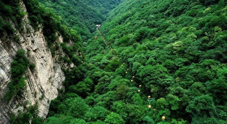 孤岛惊魂原始杀戮